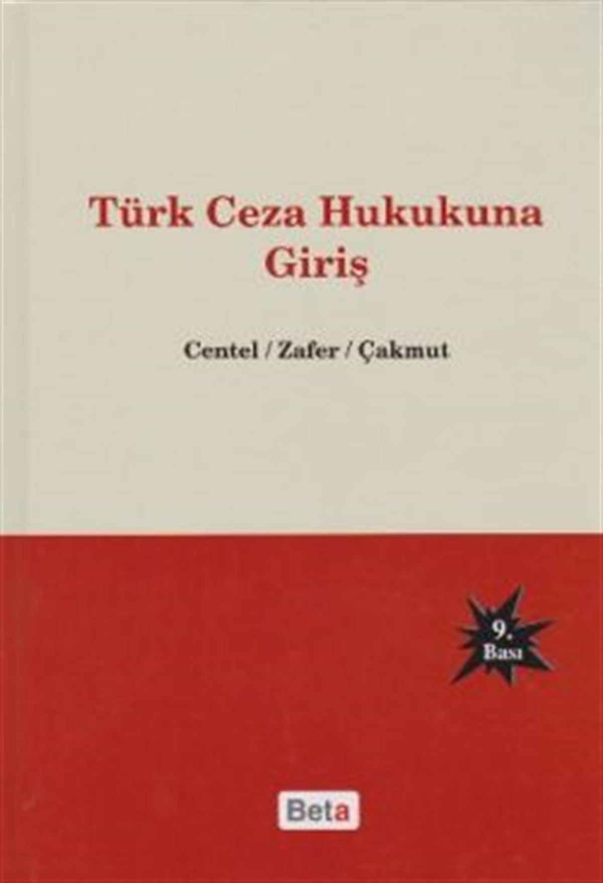 Türk Ceza Hukukuna Giriş