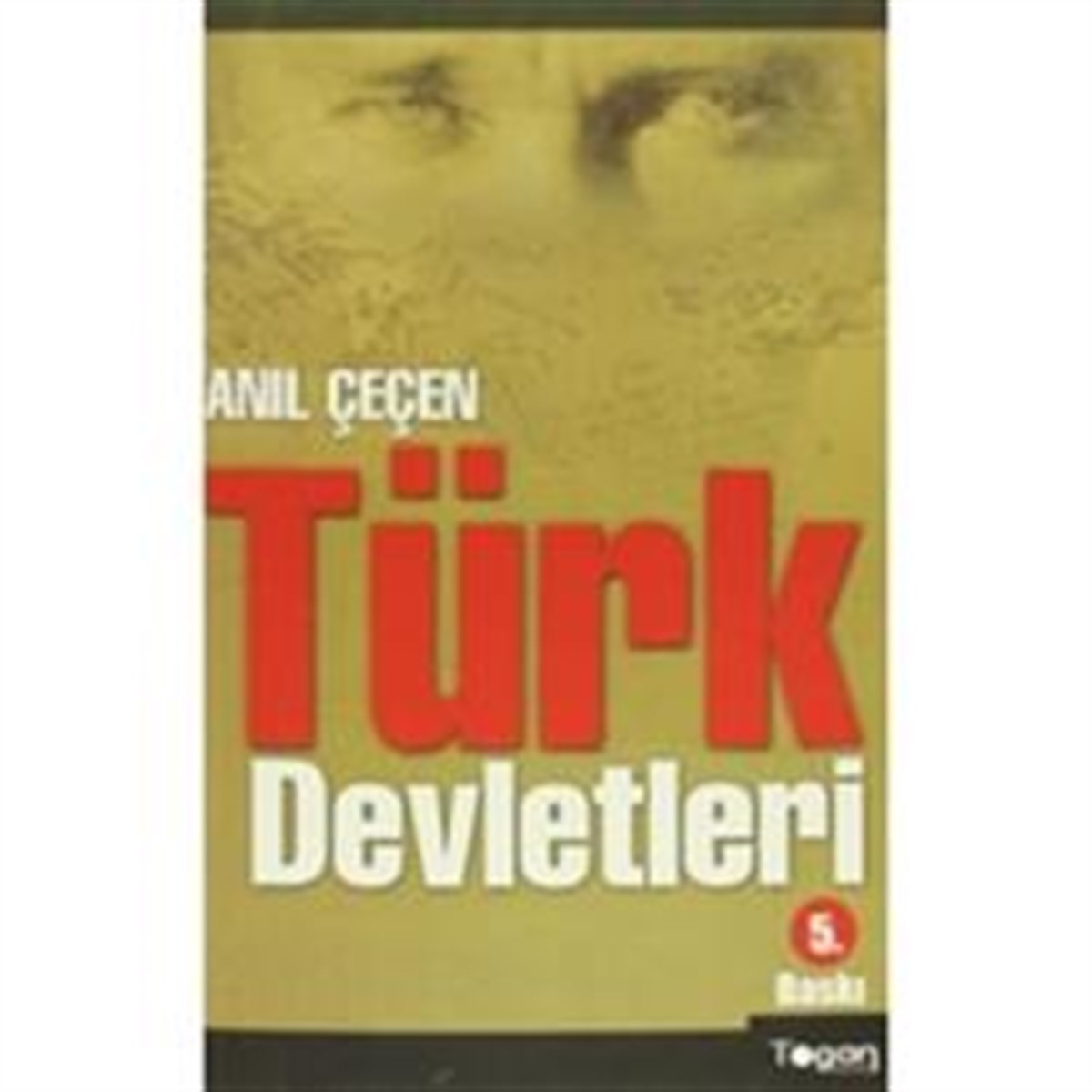 Türk Devletleri