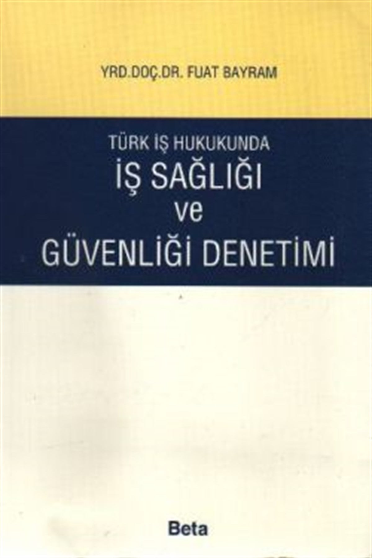 Türk İş Hukukunda İş Sağlığı ve Güvenliği Denetimi