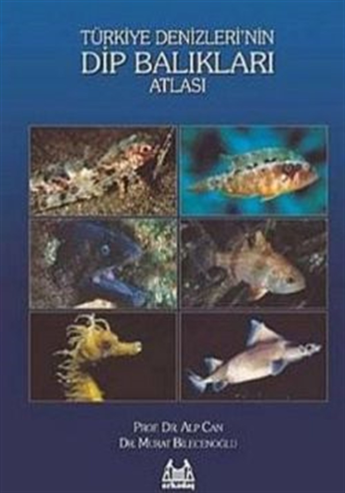 Türkiye Denizleri’nin Dip Balıkları Atlası