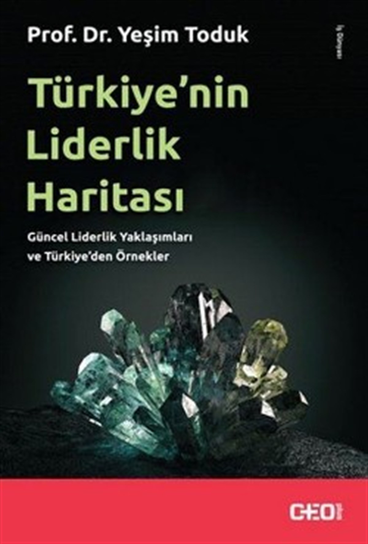 Türkiye’nin Liderlik Haritası - Güncel Liderlik Yaklaşımları ve Türkiye'den Örnekler