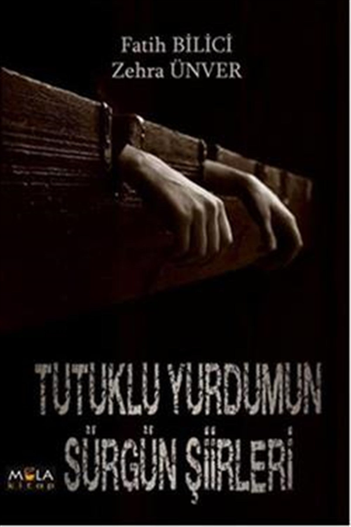 Tutuklu Yurdumun Sürgün Şiirleri