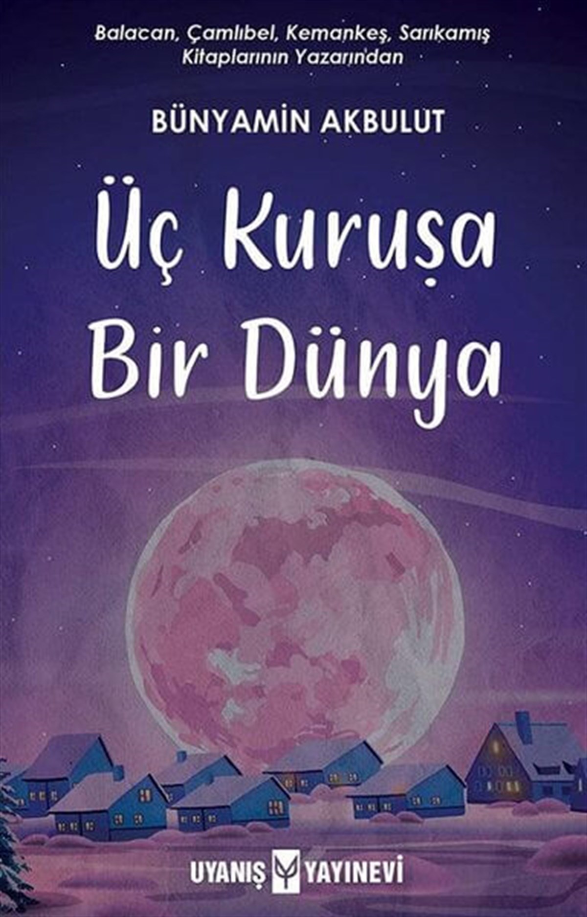 Üç Kuruşa Bir Dünya , Bünyamin Akbulut , Uyanış Yayınevi , 9786257175098 ,
