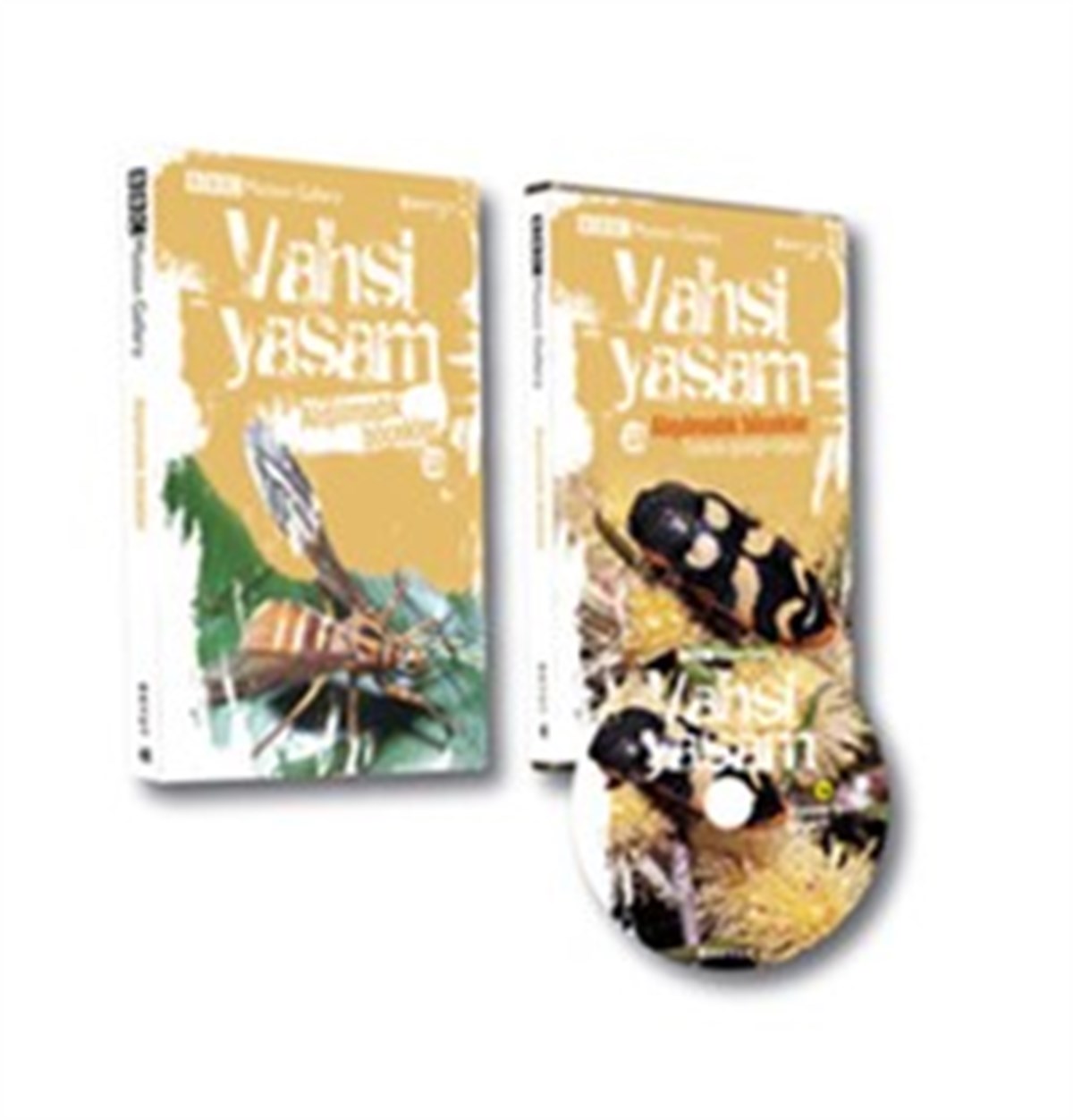 Vahşi Yaşam 2 - Alışılmadık Böcekler