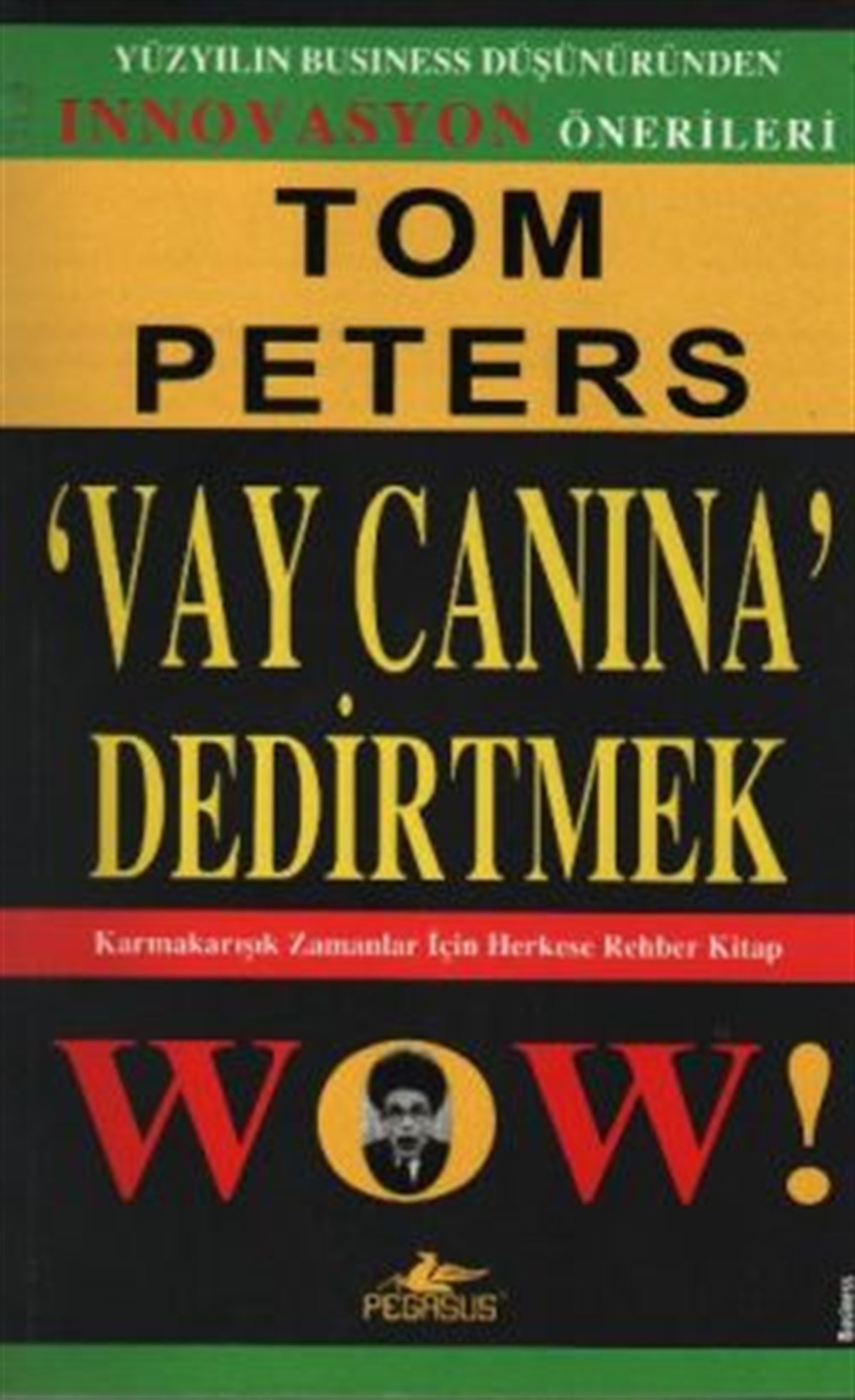 Vay Canına Dedirtmek Karmaşık Zamanlar İçin Herkese Rehber Kitap