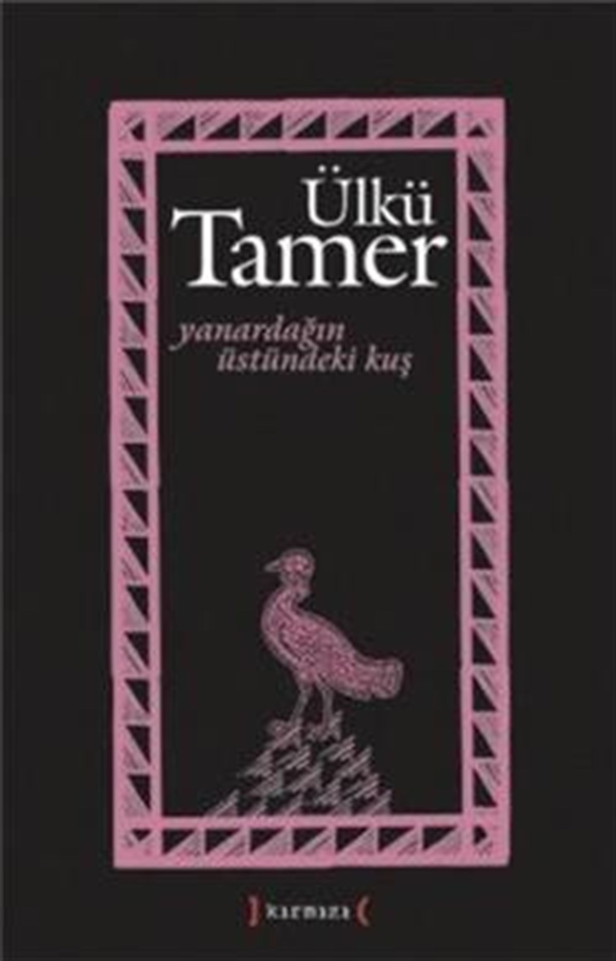 Yanardağın Üstündeki Kuş