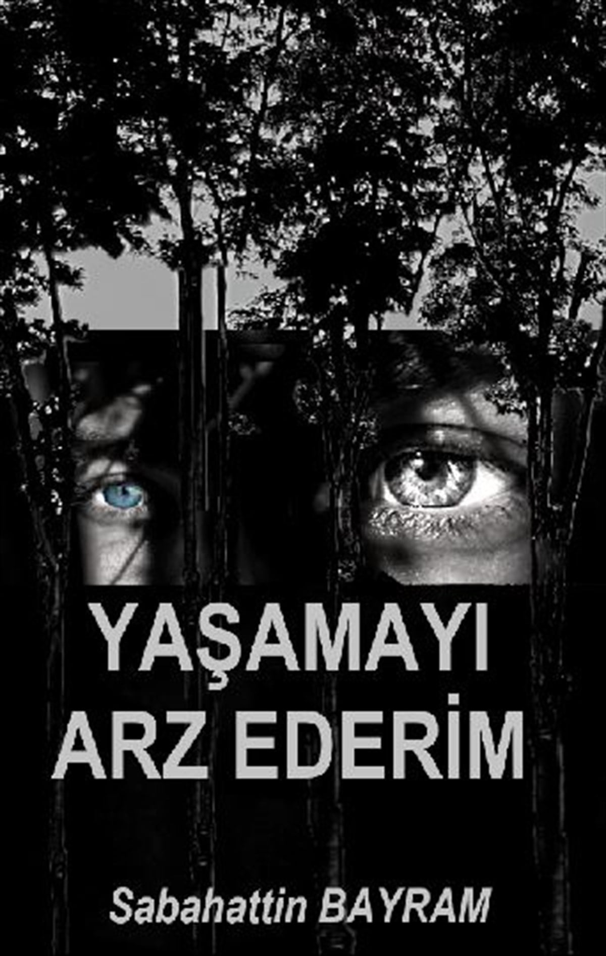 Yaşamayı Arz Ederim , Sabahattin Bayram , Platanus Publishing , 9786257525244 ,