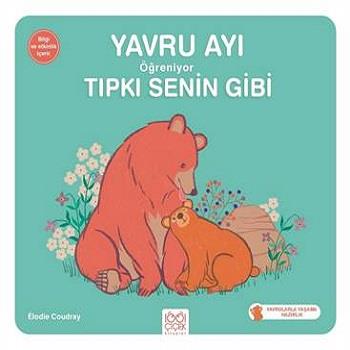 Yavru Ayı Öğreniyor Tıpkı Senin Gibi