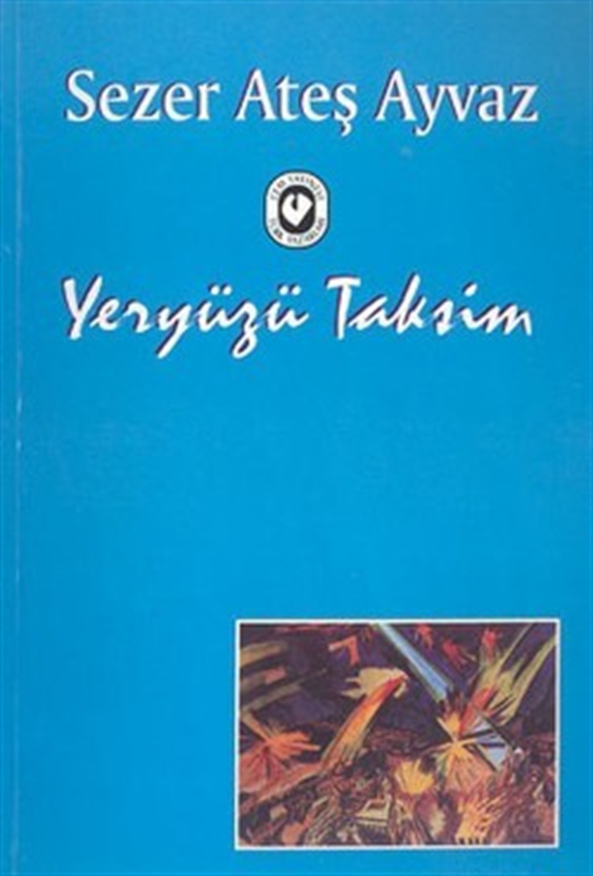 Yeryüzü Taksim