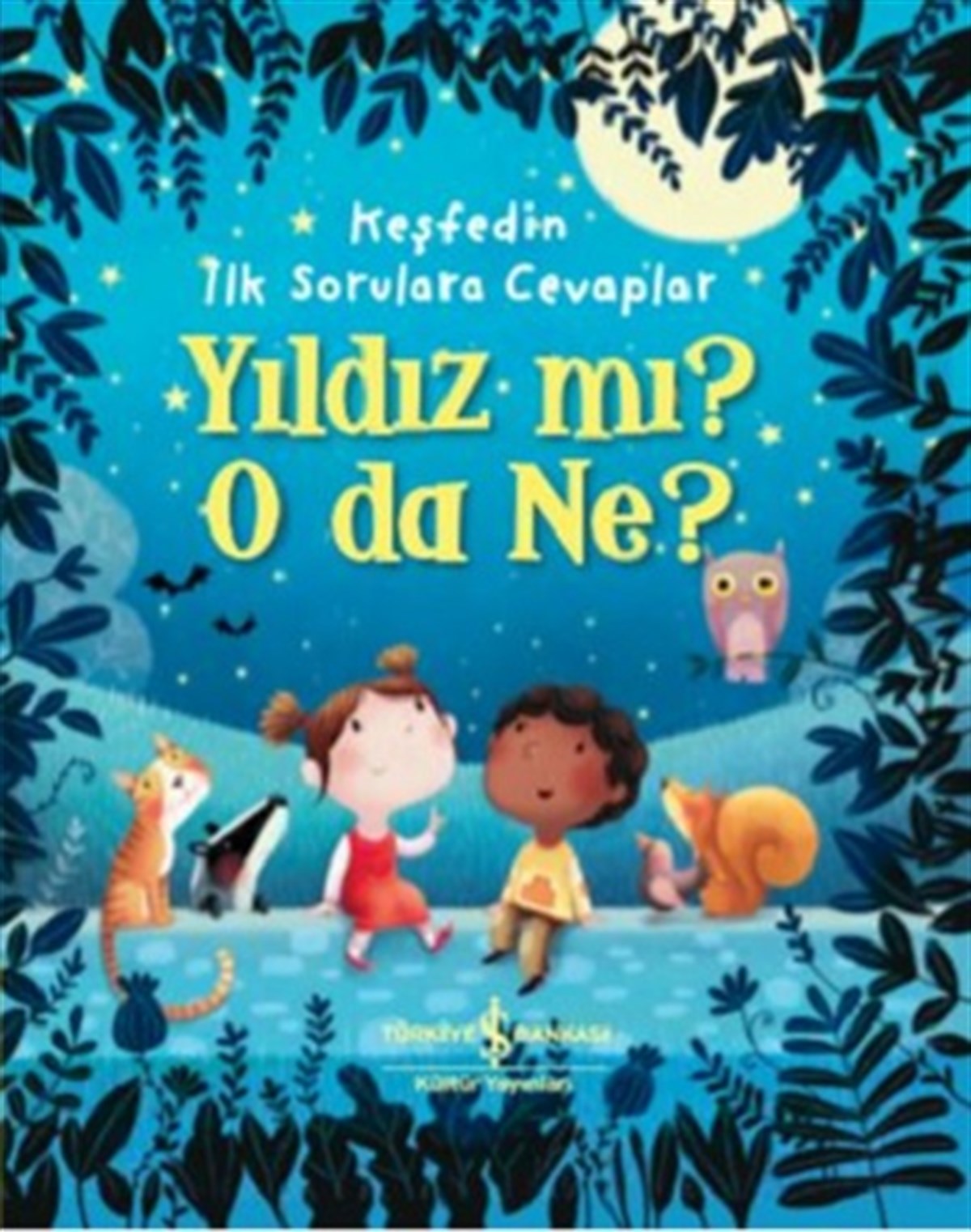 Yıldız mı? O Da Ne? - Keşfedin İlk Sorulara Cevaplar