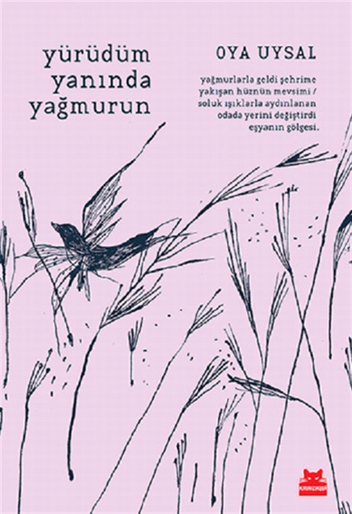 Yürüdüm Yanında Yağmurun