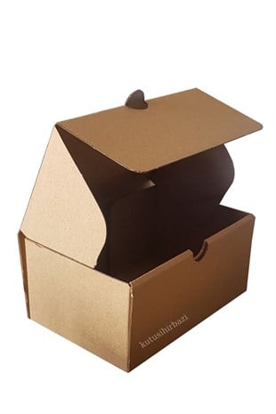 15x10x7 KAPAKLI KUTU