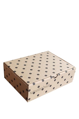 17x12.5x5.5 KAPAKLI KUTU