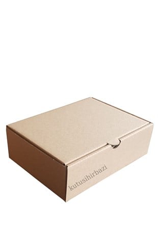 17x12.5x5.5 KAPAKLI KUTU