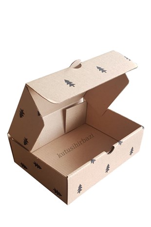 17x12.5x5.5 KAPAKLI KUTU