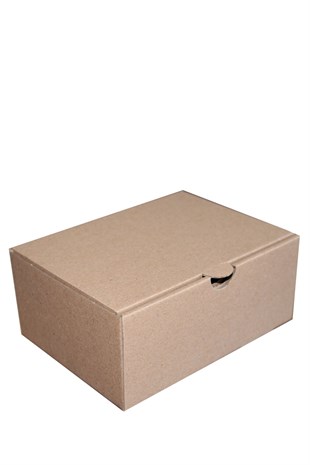 17x12.5x7.5 KAPAKLI KUTU