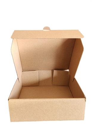 17x17x6 KAPAKLI KUTU