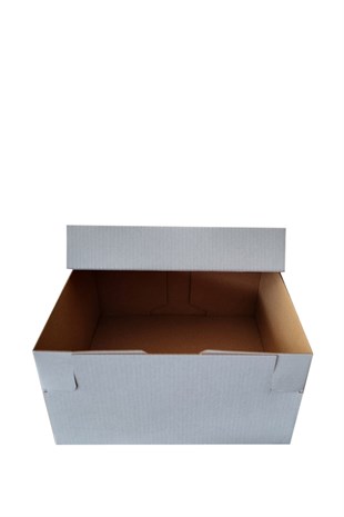 20x20x10 BEYAZ KUTU KAPAK TAKIM