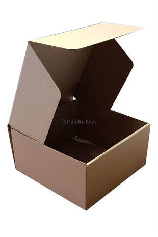 20x20x10 KAPAKLI KUTU