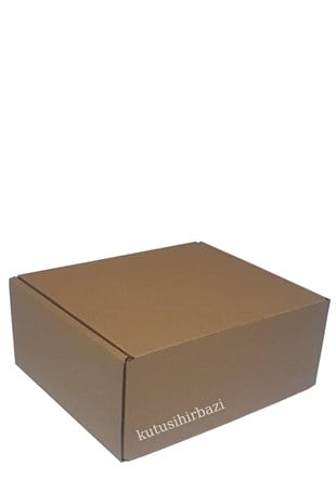 21x17x8,5 KAPAKLI KUTU