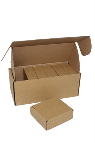 22x10x8,5 KAPAKLI KUTU