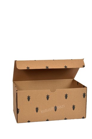 22x13x10 KAPAKLI KUTU
