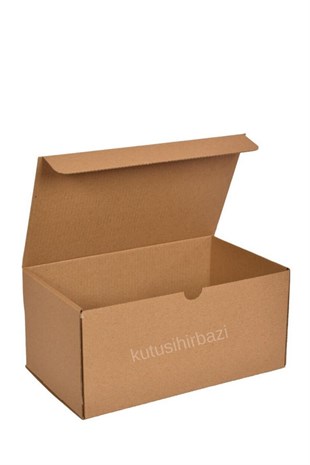 22x13x10 KAPAKLI KUTU