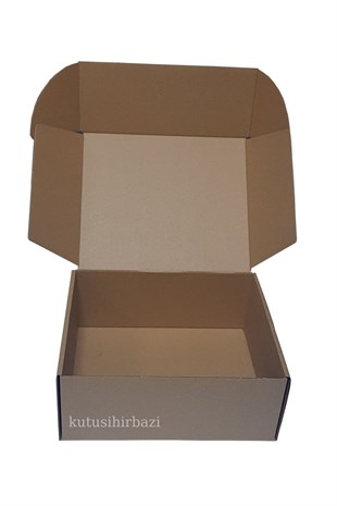 25x20x10 KAPAKLI KUTU