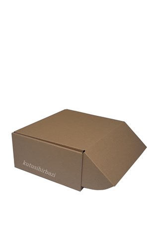 25x20x10 KAPAKLI KUTU
