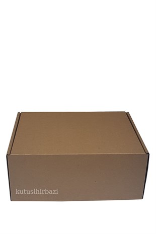 25x20x10 KAPAKLI KUTU