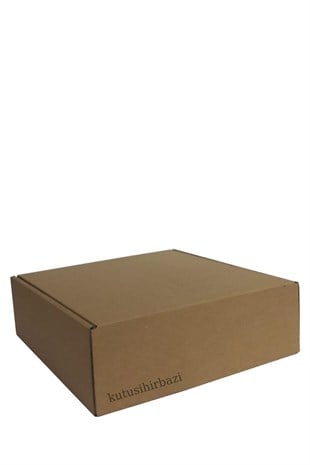 25x25x8 KAPAKLI KUTU