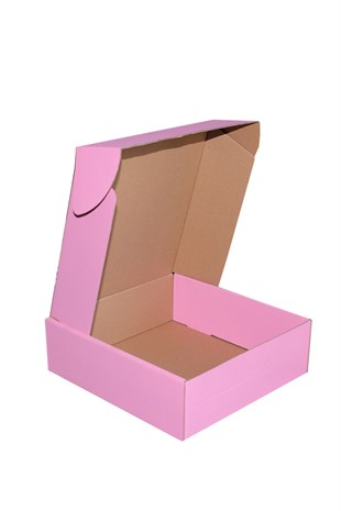 25x25x8 PEMBE KAPAKLI KUTU