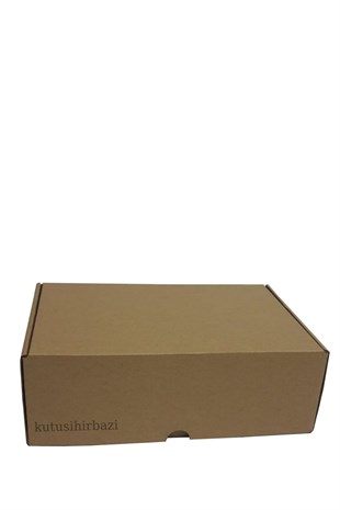 30x20x10 KAPAKLI KUTU
