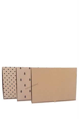 31x23x5 KAPAKLI KUTU