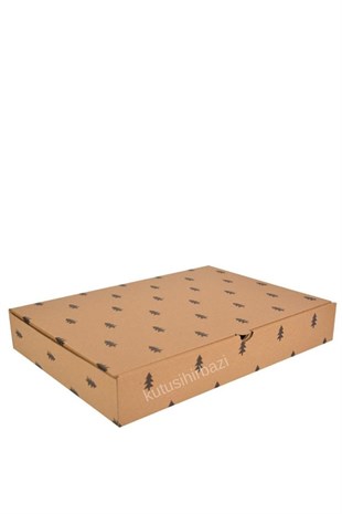 31x23x5 KAPAKLI KUTU