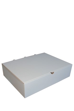 40X30X10 BEYAZ KAPAKLI KUTU