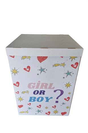 CİNSİYET PARTİSİ KUTUSU