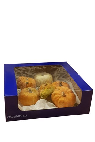 LACİVERT 30x30x10 PENCERELİ KUTU