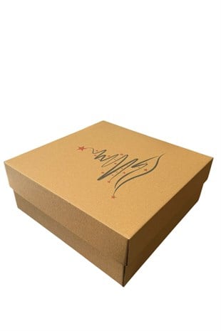 YILBAŞI SERİSİ 25x25x10