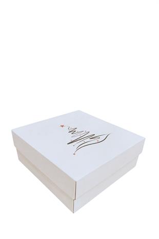 YILBAŞI SERİSİ 25x25x10