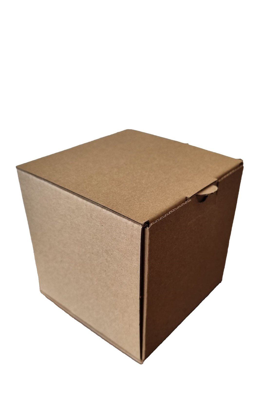 10X10X10 KAPAKLI KUTU