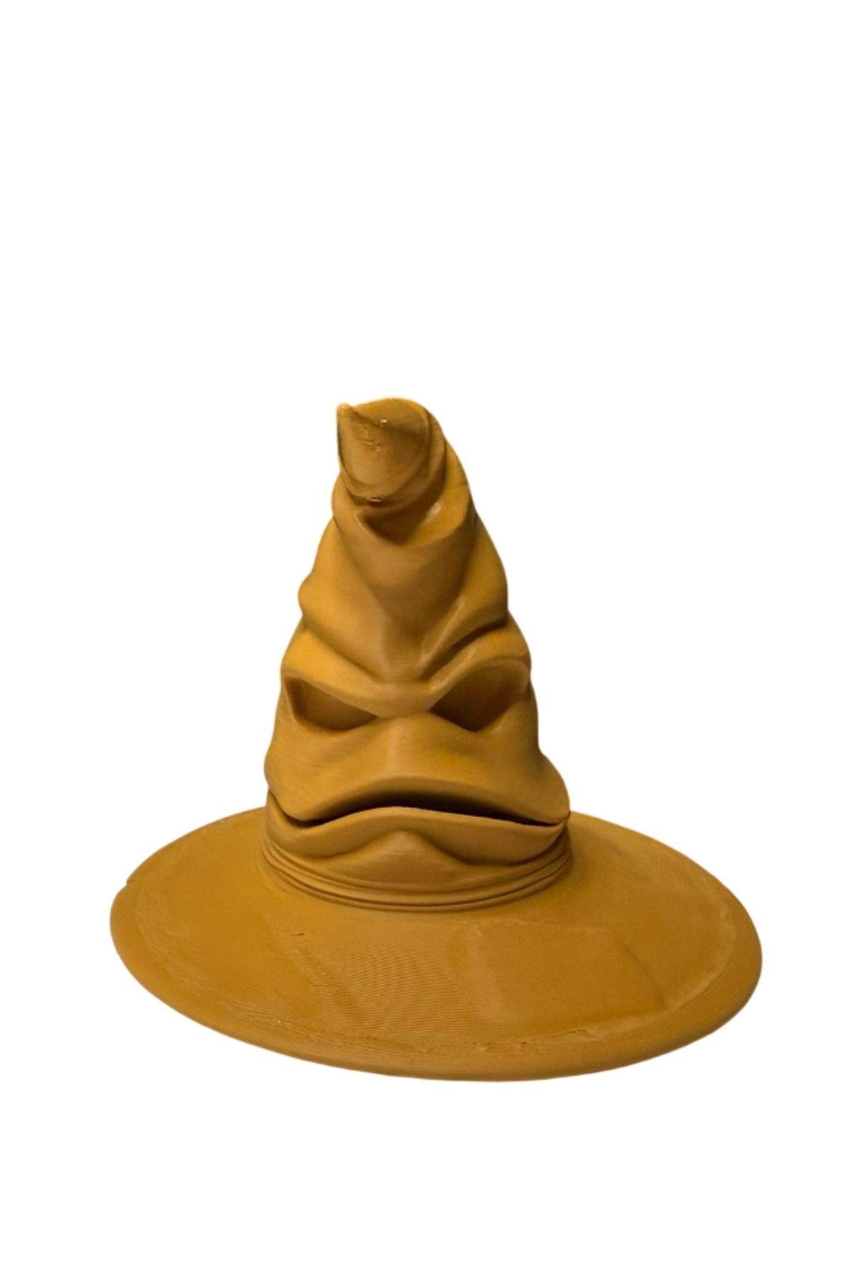 HARRY POTTER SEÇMEN ŞAPKASI