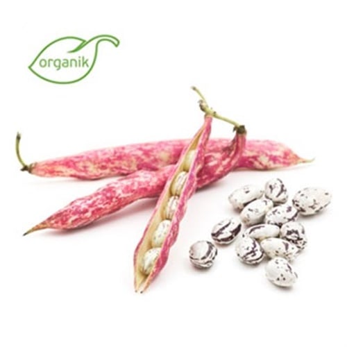 Organik Barbunya Taze (500 gr) Salih Özkan Çiftliği-Bursa