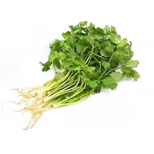 Kişniş, Antalya (demet)