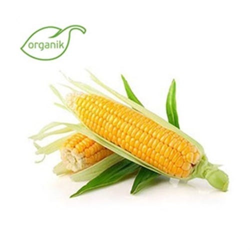 Organik Mısır Süt (adet) Organicasa