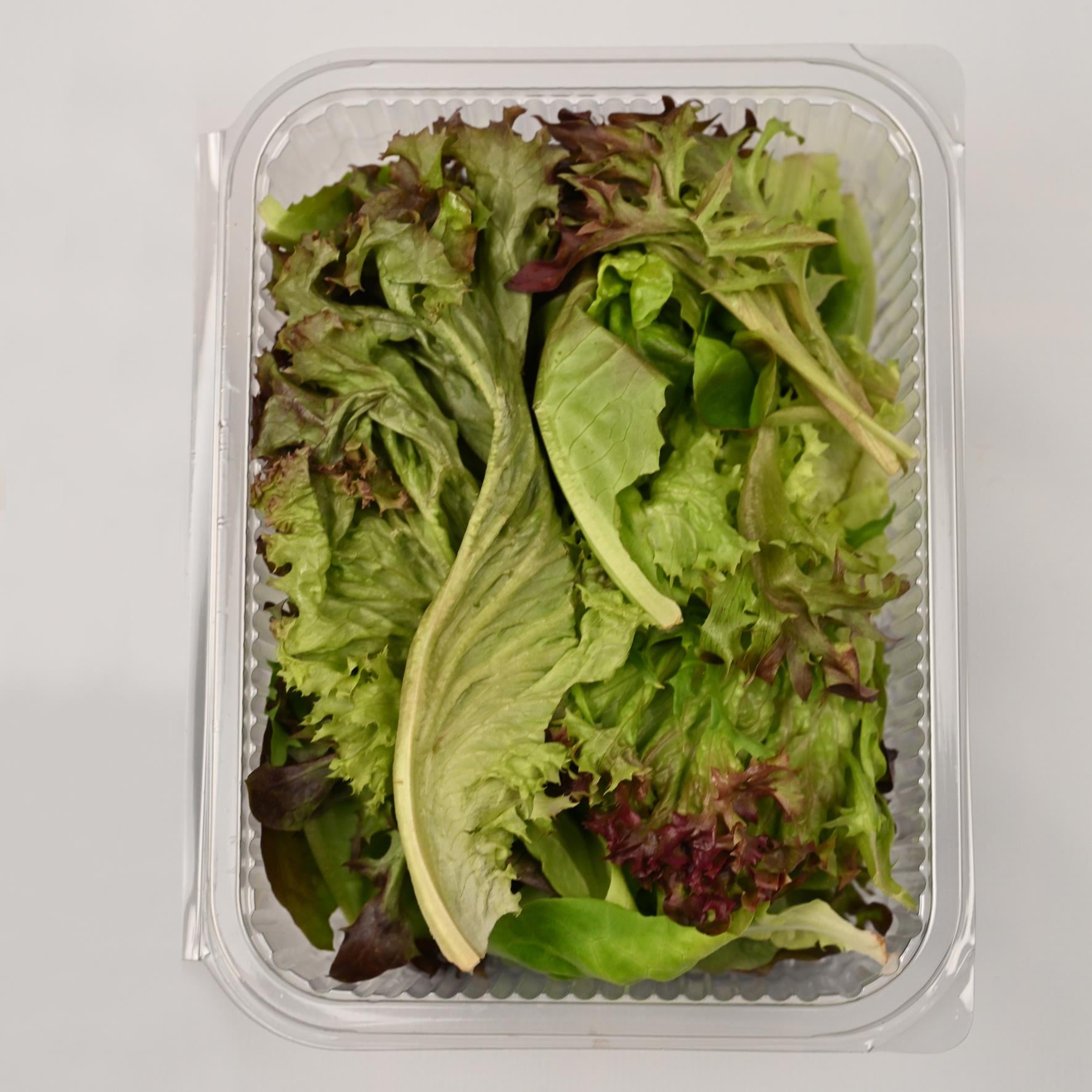 Akdeniz Salatası (150) Medel Greens