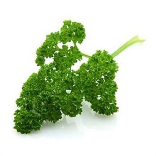 Organik Frenk Maydanoz (demet) Ersöz Bahçesi – Afyon