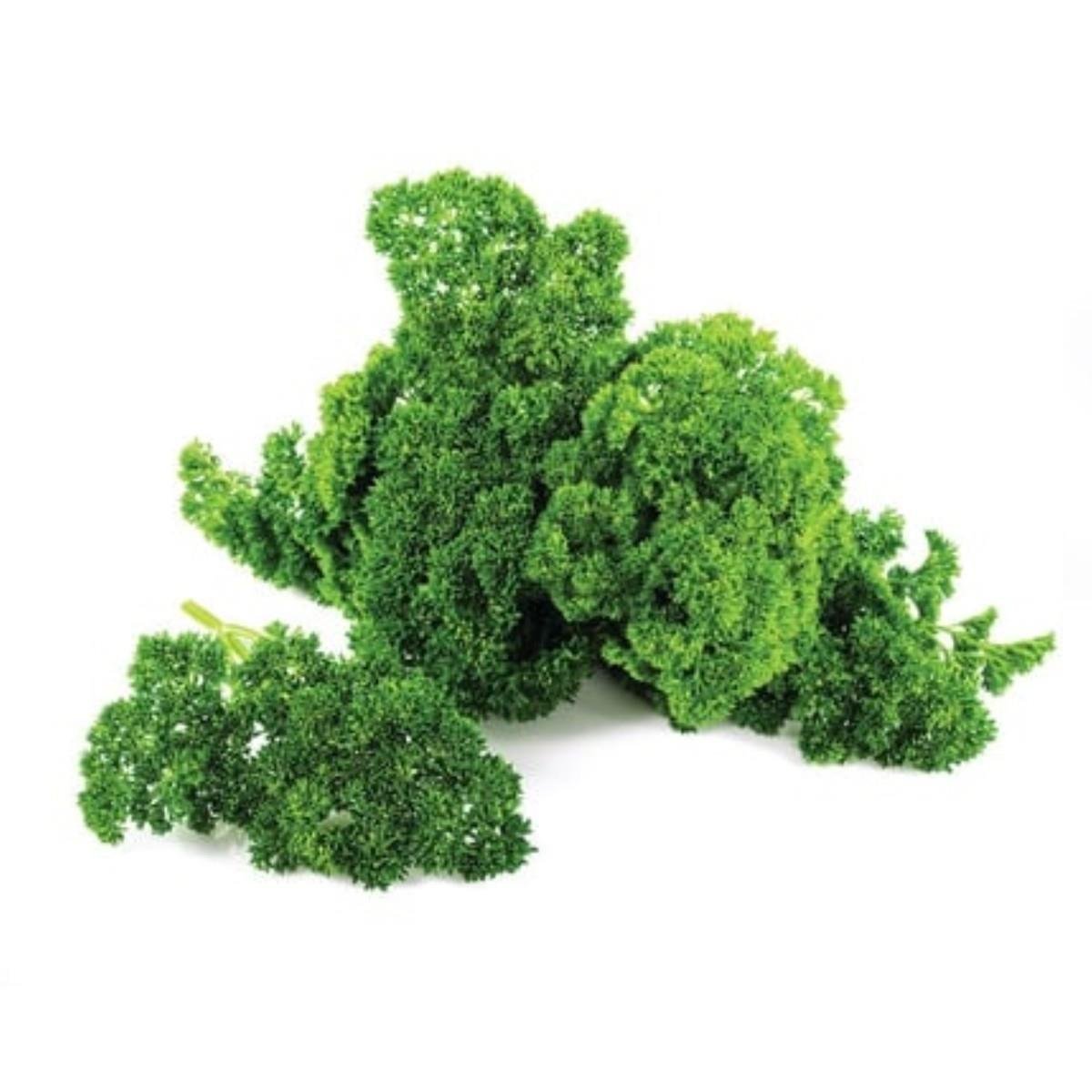 Frenk Maydanozu (25 gr) Greenada