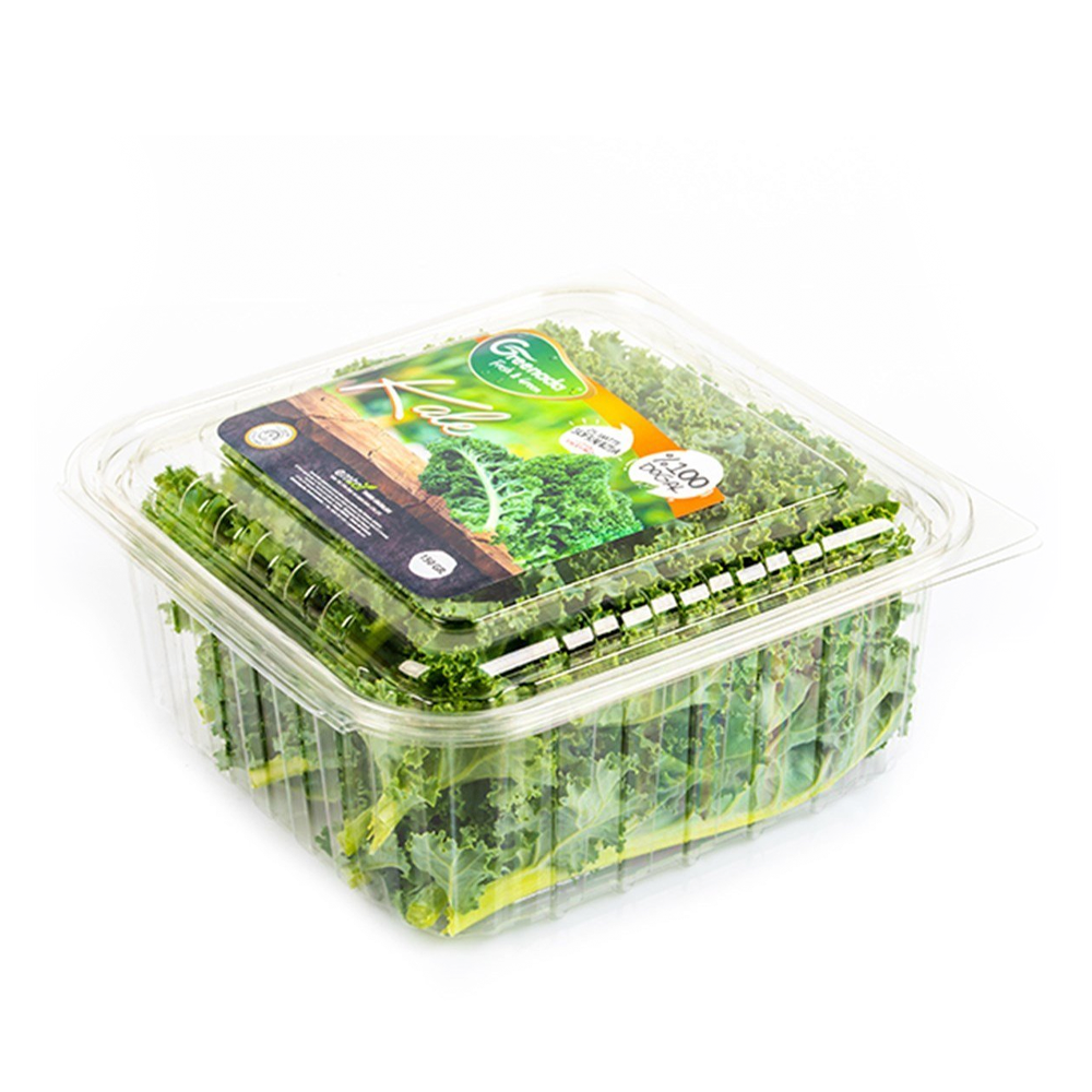 Kale Yaprağı (150 gr) Greenada