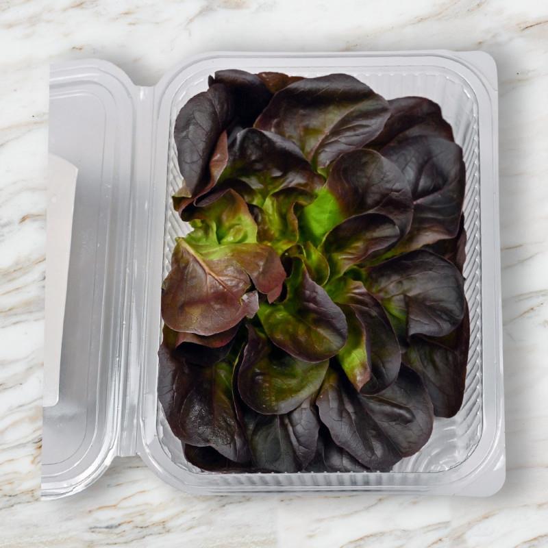 Kırmızı Gül (100 gr) Medel Greens